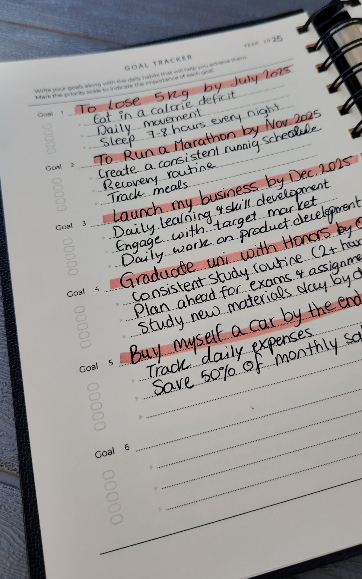 The Biannual Planner